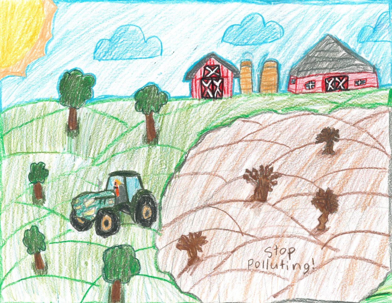 5th Grade Schroeder Elementary