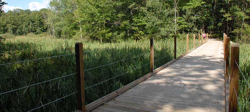 A bridge over wetlands at Highland Oaks