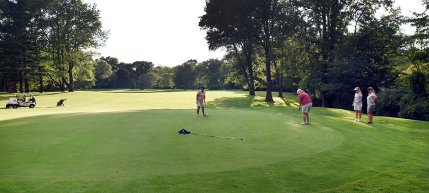 A golfer prepares to take a put at the White Lake Oaks golf course while three other players look on.