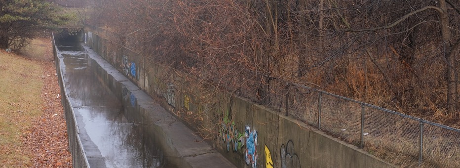 Drainage channel in wooded area during fall