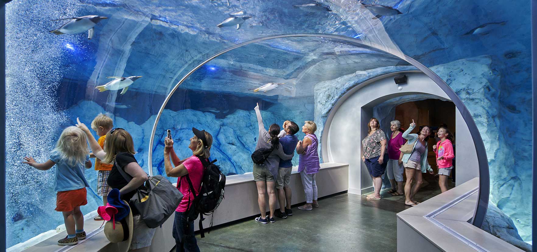 Detroit Zoo